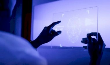 Governo Federal investirá R$ 390 milhões para otimizar uso de IA