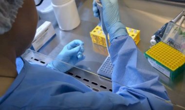 País tem 17 casos confirmados de intoxicação por metanol