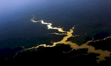 Decreto autoriza Forças Armadas na segurança da COP30