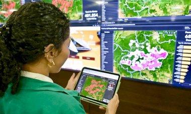 Focos de calor no Amazonas caem 65,81% em outubro, aponta Inpe