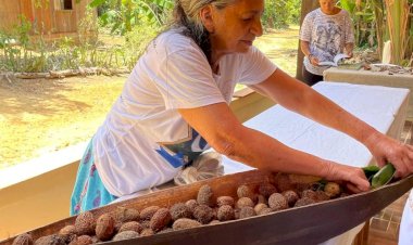Projeto Uxirana fortalece artesanato caboclo com formação em campo na floresta