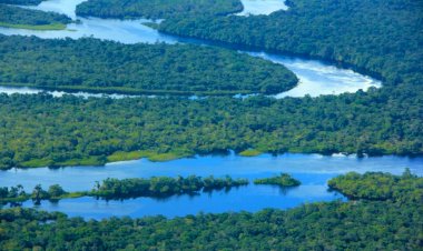 Governo do Amazonas registra em novembro o menor número de focos de calor desde 2021