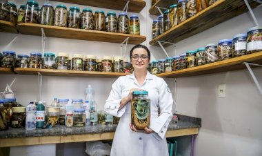 Professora da Universidade do Estado do Amazonas é reconhecida no prêmio Para Mulheres na Ciência por pesquisa sobre tratamento de acidentes com jararacas