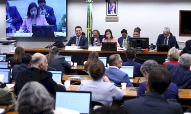 Comissão especial aprova o novo Plano Nacional de Educação, com diretrizes para dez anos