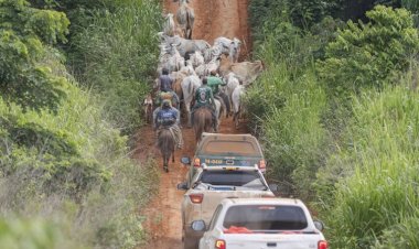 Operação em terra indígena no Pará resulta em mais um assassinato