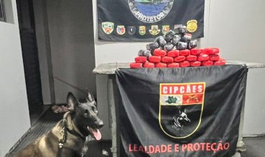 PMAM apreende 15 quilos de entorpecentes escondidos entre garrafões de água