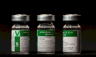 Aplicação da vacina da dengue do Butantan começará a partir do dia 17