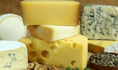 Sindpam destaca o Dia Mundial do Queijo e sua importância para a os amazonenses