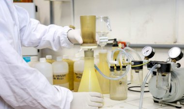 Governo do Amazonas lança 15 novos editais no valor de mais de R$ 81 milhões