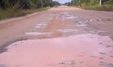 Deputado João Luiz lança abaixo-assinado em prol da revitalização da BR-319