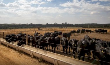 Atividade econômica brasileira cresce 2,5% em 2025