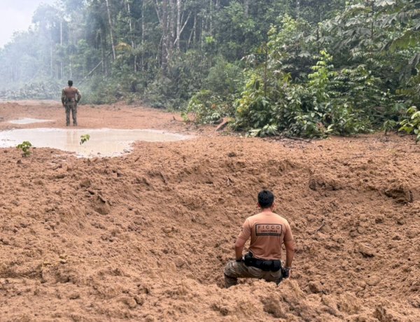 FICCO/AM desmonta logística de tráfico e inutiliza pistas clandestinas