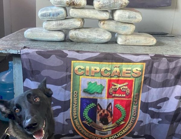 Base Arpão 2: Polícia encontra maconha do tipo skunk escondida em caixas com peixes e açaí