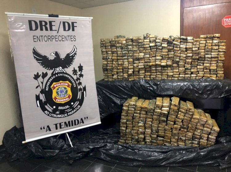 PF deflagra Operação Buriti e apreende mais de 600 kg de maconha