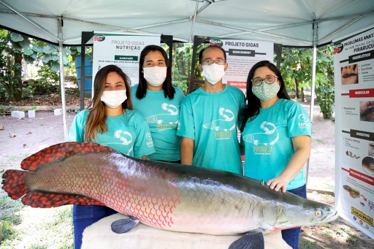 Com apoio da Fapeam, exposição virtual apresenta peixes nativos da Amazônia e portas abertas a laboratórios