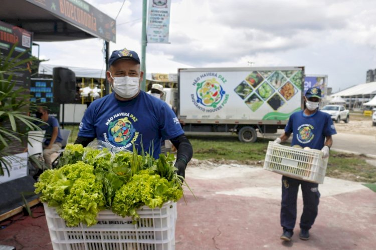 Programa de redução de desperdício do Governo do Estado coletou 155 toneladas de alimentos em 2021