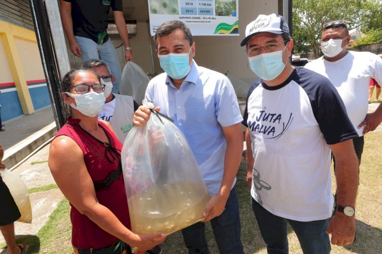 Governo do Amazonas incentiva produção de peixes com entrega de alevinos e pós-larvas para piscicultores