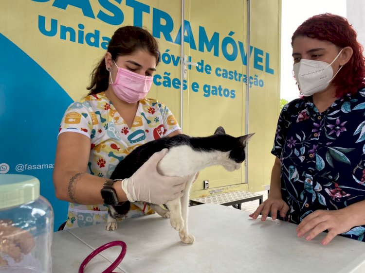 Unidades móveis de castração realizaram mais de 4 mil procedimentos no Amazonas