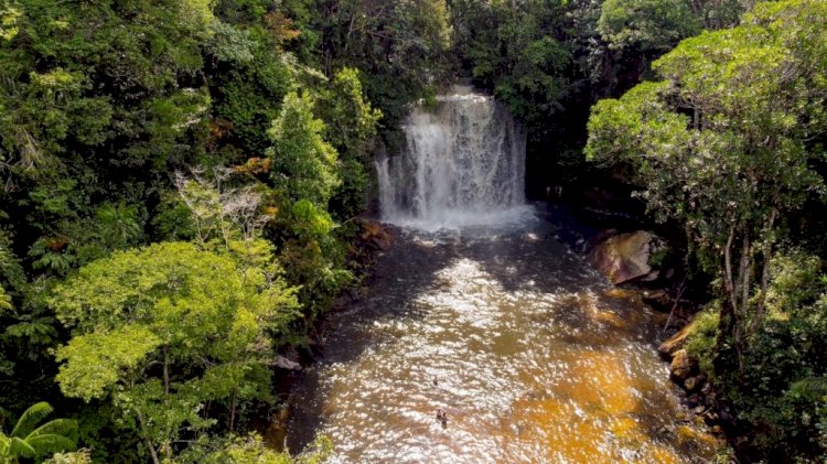 Feriados em 2023: Programe sua viagem pelo Amazonas