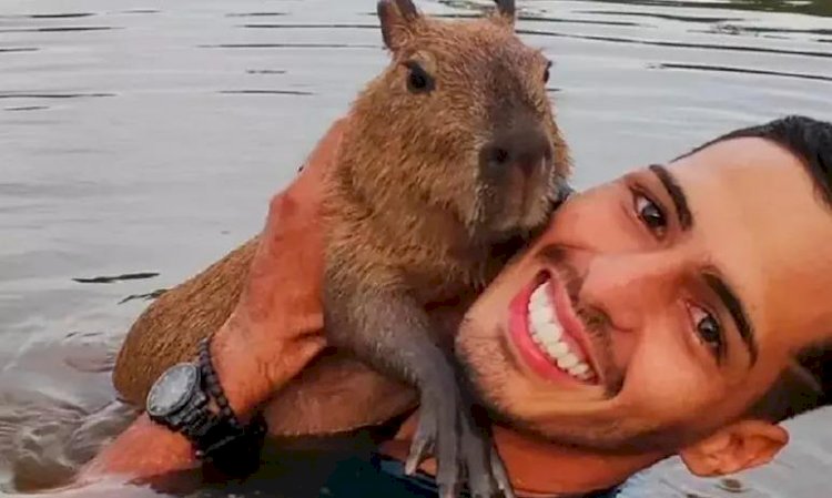 Capivara Filó é entregue a influenciador de redes sociais do AM