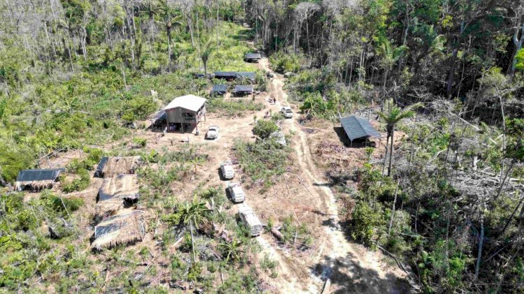 Forças de Segurança apuram denúncias de queimadas e desmatamento ilegal em Humaitá