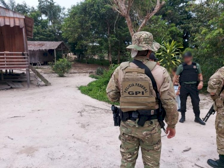 PF e ICMBio reprimem extração ilegal de madeira em Boca do Acre