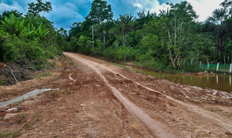 AGU consegue bloqueio de R$ 95,6 milhões de acusados por desmatamento