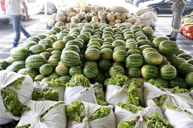 No Amazonas, inscrições para o edital do Programa de Aquisição de Alimentos encerram nesta sexta-feira