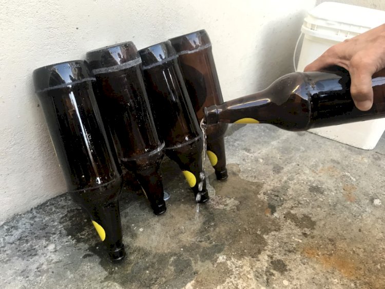 Eliminação de criadouros para mosquitos é a principal estratégia para prevenir a dengue