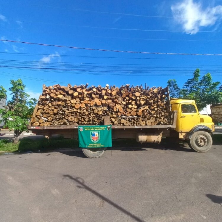 Madeira ilegal é apreendida pelo Batalhão Ambiental da Polícia Militar do Amazonas