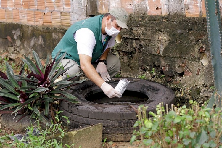 Combate à dengue: cuidar da saúde, evitar automedicação e combater criadouros do mosquito são condutas fundamentais