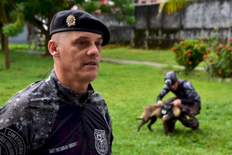 Segurança pública: Cães de policiamento auxiliam no combate ao crime organizado no Amazonas