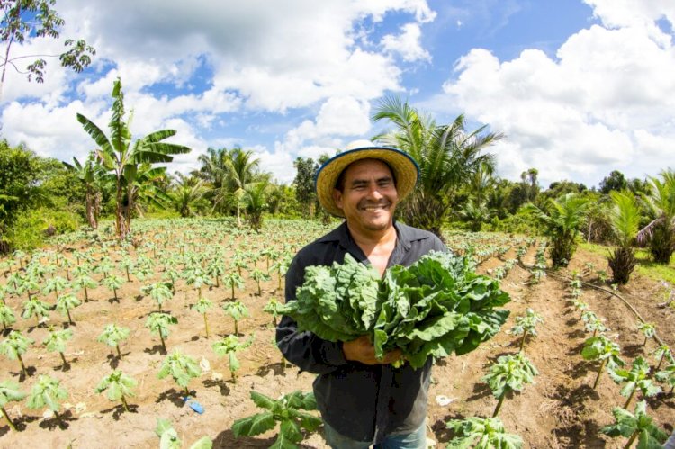 Governo do Amazonas apoia agricultores que tiveram perdas durante a última estiagem