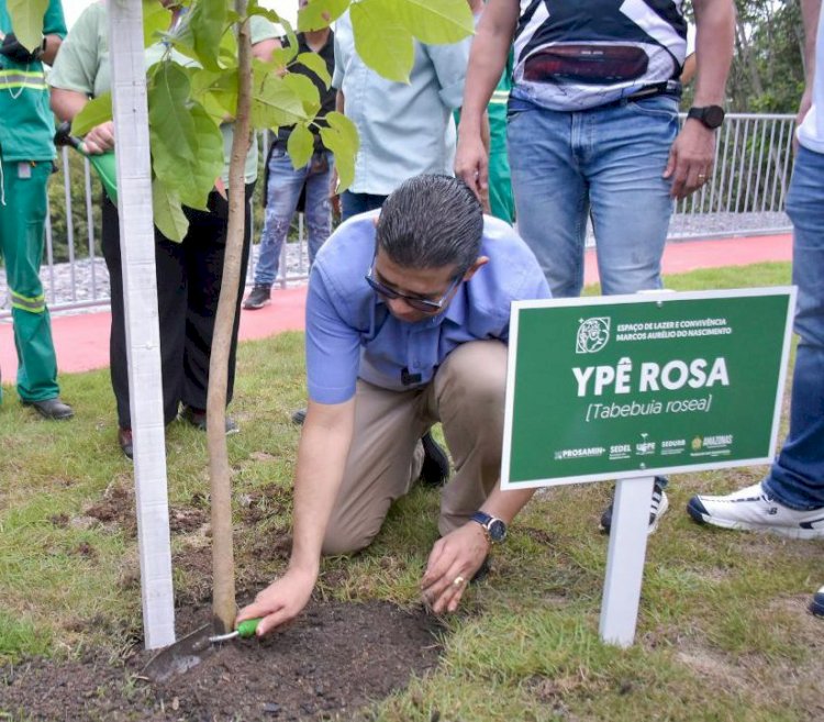 Deputado João Luiz destaca principais trabalhos desenvolvidos para sustentabilidade no Dia Mundial do Meio Ambiente