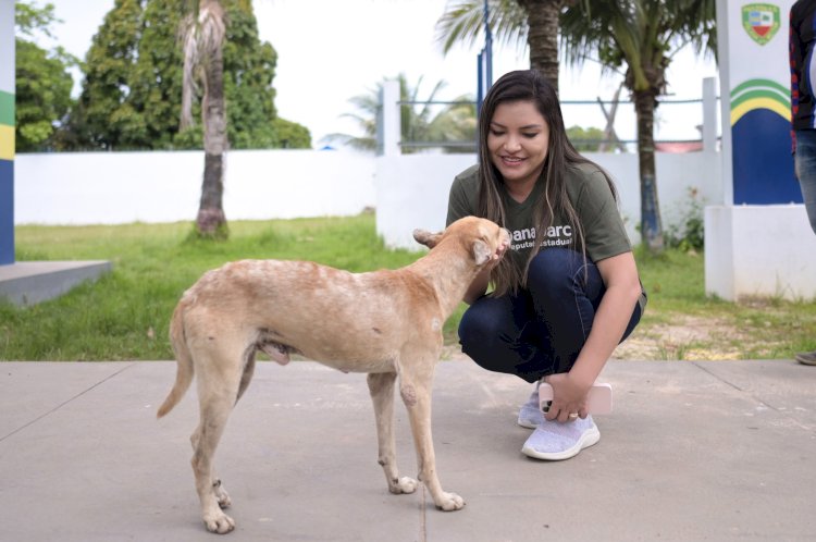 Lei de deputada Joana Darc institui julho como mês dedicado à prevenção de zoonoses no Amazonas