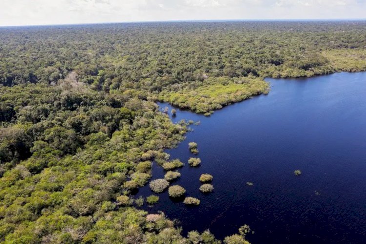 Plano Clima Participativo: Governo percorre o Brasil para discutir emergência climática com a população