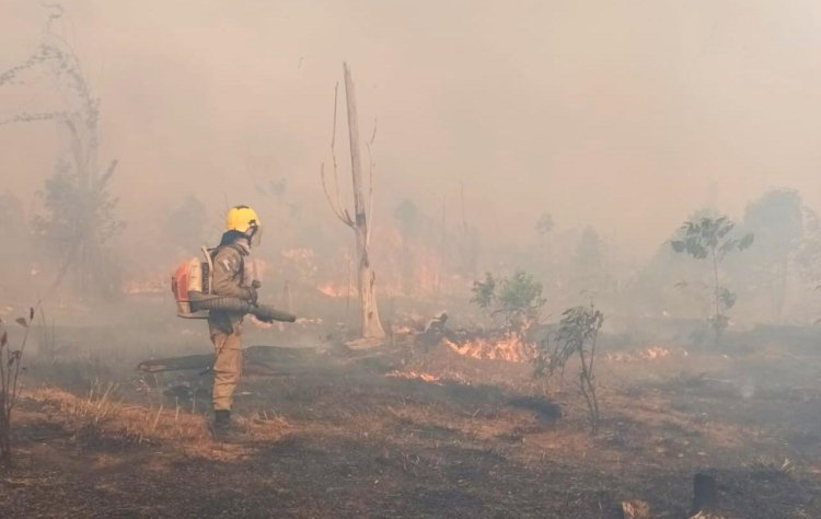 Em Apuí, bombeiros da Operação Aceiro combatem incêndio em área de pasto