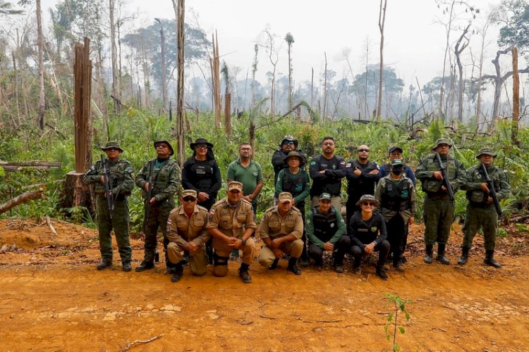 Órgãos ambientais aplicaram cerca de R$ 92 milhões em multas no sul do Amazonas em menos de quatro meses