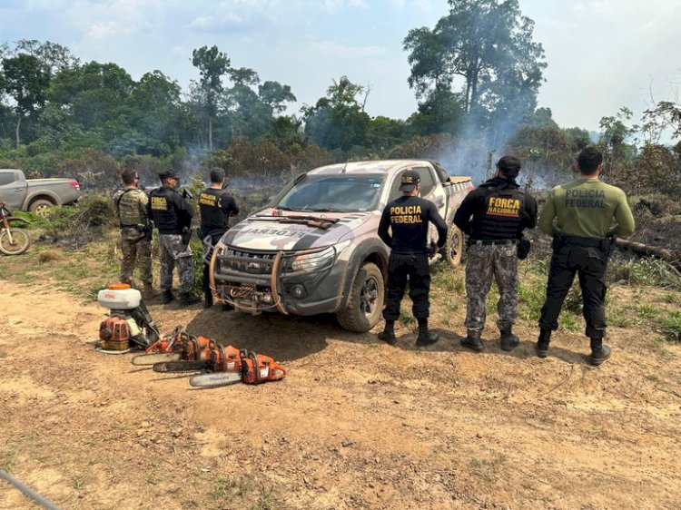 PF e Força Nacional combatem desmatamento ilegal e queimadas no interior do Amazonas