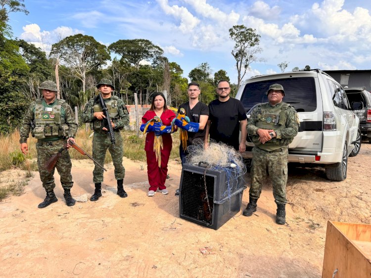 Após denúncia de deputada Joana Darc sobre tráfico de animais silvestres, homem é detido e duas araras são resgatadas no ramal do Brasileirinho