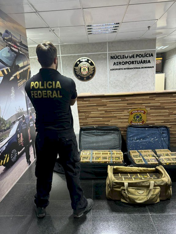 PF resgata 300 pássaros em malas no Aeroporto de Manaus