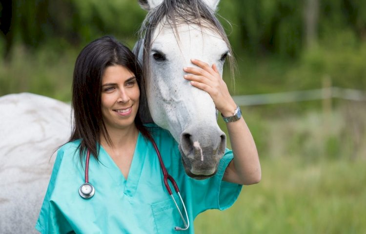 1ª Semana das Ligas Acadêmicas de Medicina Veterinária da UNINORTE