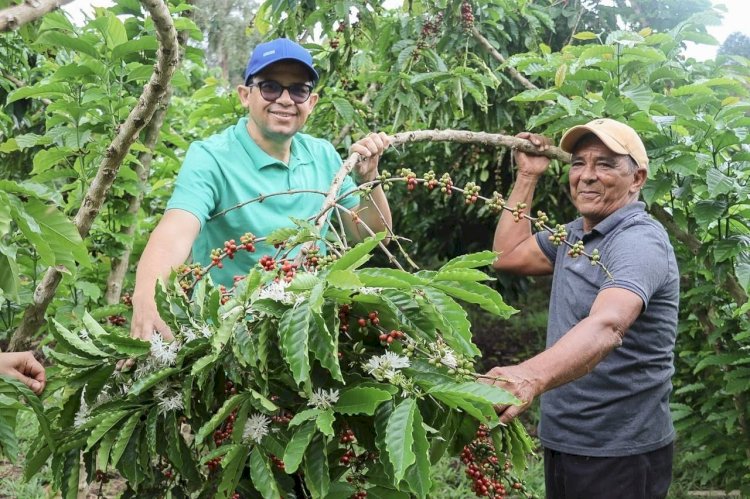 Agricultores de Silves beneficiados com emendas parlamentares de João Luiz ficam entre os dez melhores em concurso nacional de café