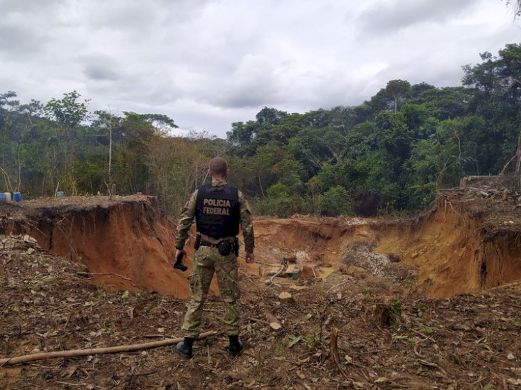 PF intensifica combate ao garimpo ilegal em operação na Terra Indígena Munduruku