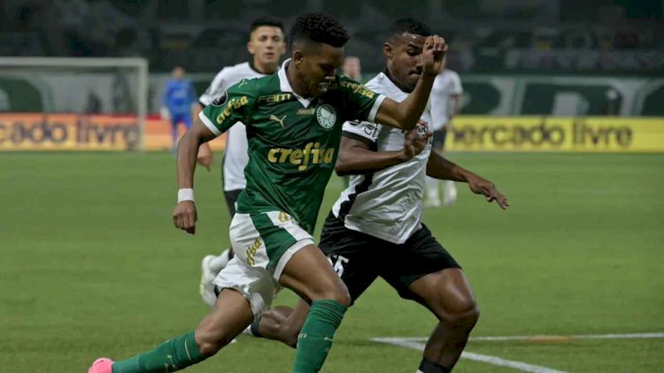 Palmeiras e Botafogo jogam por liderança do Campeonato Brasileiro