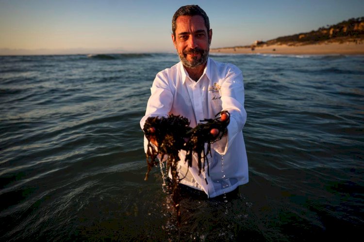 Sabores de Portugal: Chef Pedro Mendes retorna a Manaus com novo menu exclusivo no Belle Époque