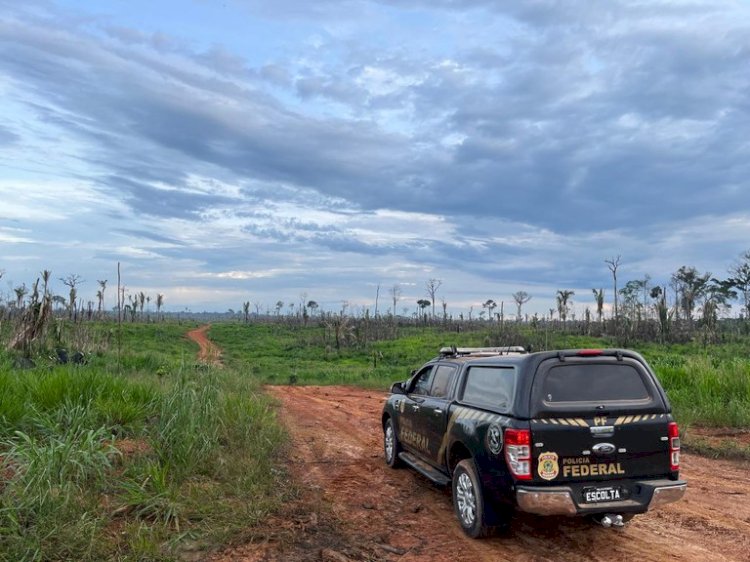 PF combate ao desmatamento ilegal, grilagem de terras e lavagem de dinheiro no Amazonas