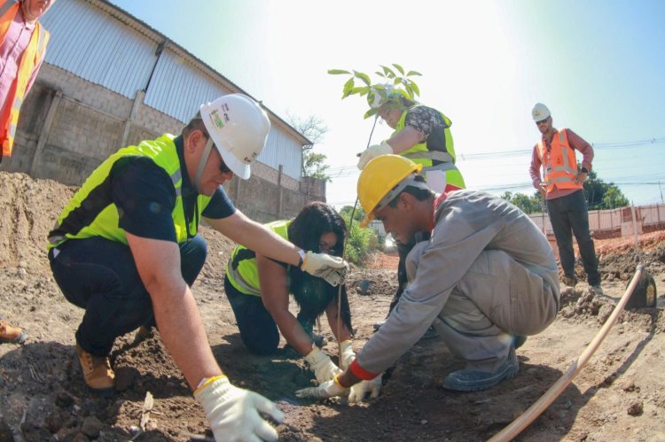 Prosamin+ inicia projeto inovador de reflorestamento de áreas degradadas