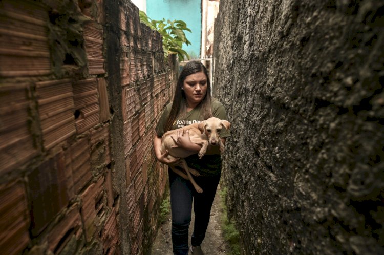 Projeto de Joana Darc quer implementar sistema de multas por maus-tratos aos animais vinculados ao CPF