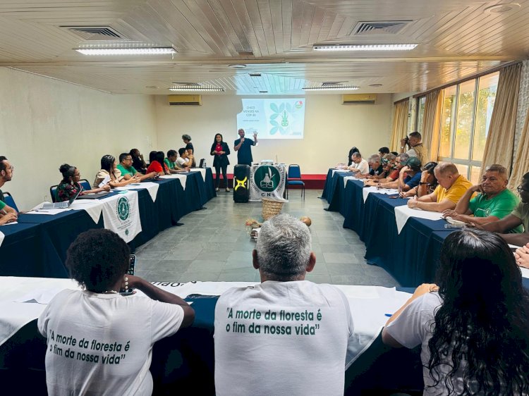 Extrativistas denunciam assédio de empresa responsável por  um dos maiores projetos de sequestro de carbono do Pará